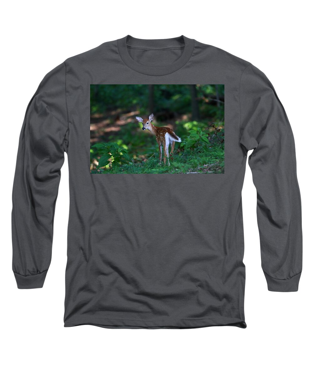 Fawn Long Sleeve T-Shirt featuring the photograph Follow Me by Kevin Craft