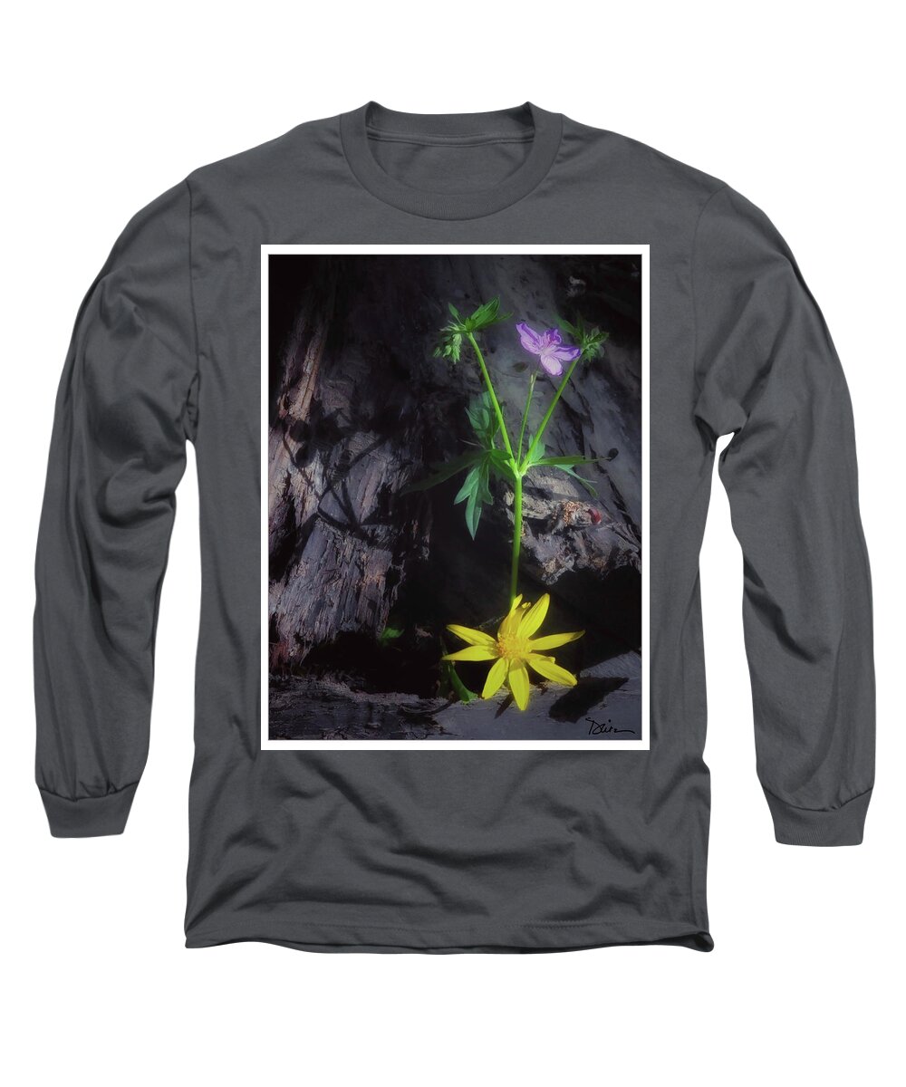 Wild Flowers Long Sleeve T-Shirt featuring the photograph Forest Beauties by Peggy Dietz