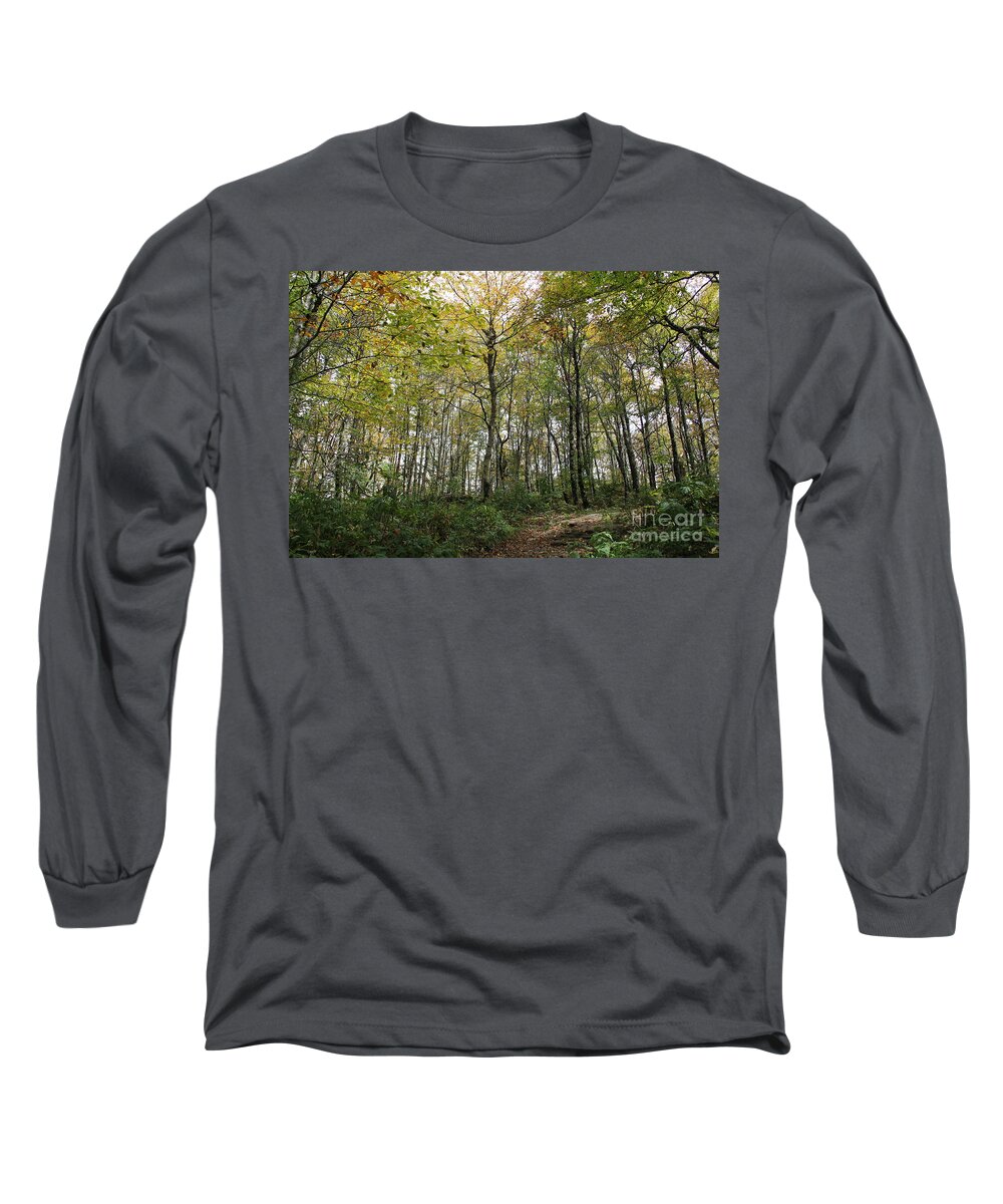 Forest Long Sleeve T-Shirt featuring the photograph Forest Canopy by Allen Nice-Webb