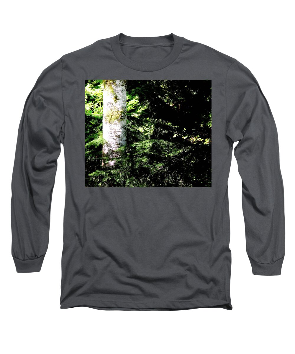 Forest Long Sleeve T-Shirt featuring the photograph Forest Glow by Blair Wainman