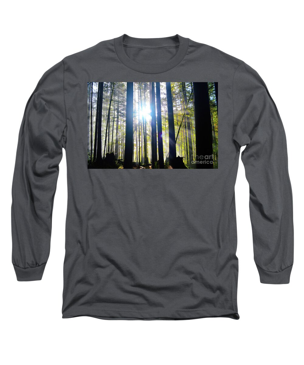 Forest Long Sleeve T-Shirt featuring the photograph Forest Light Rays by Brian O'Kelly