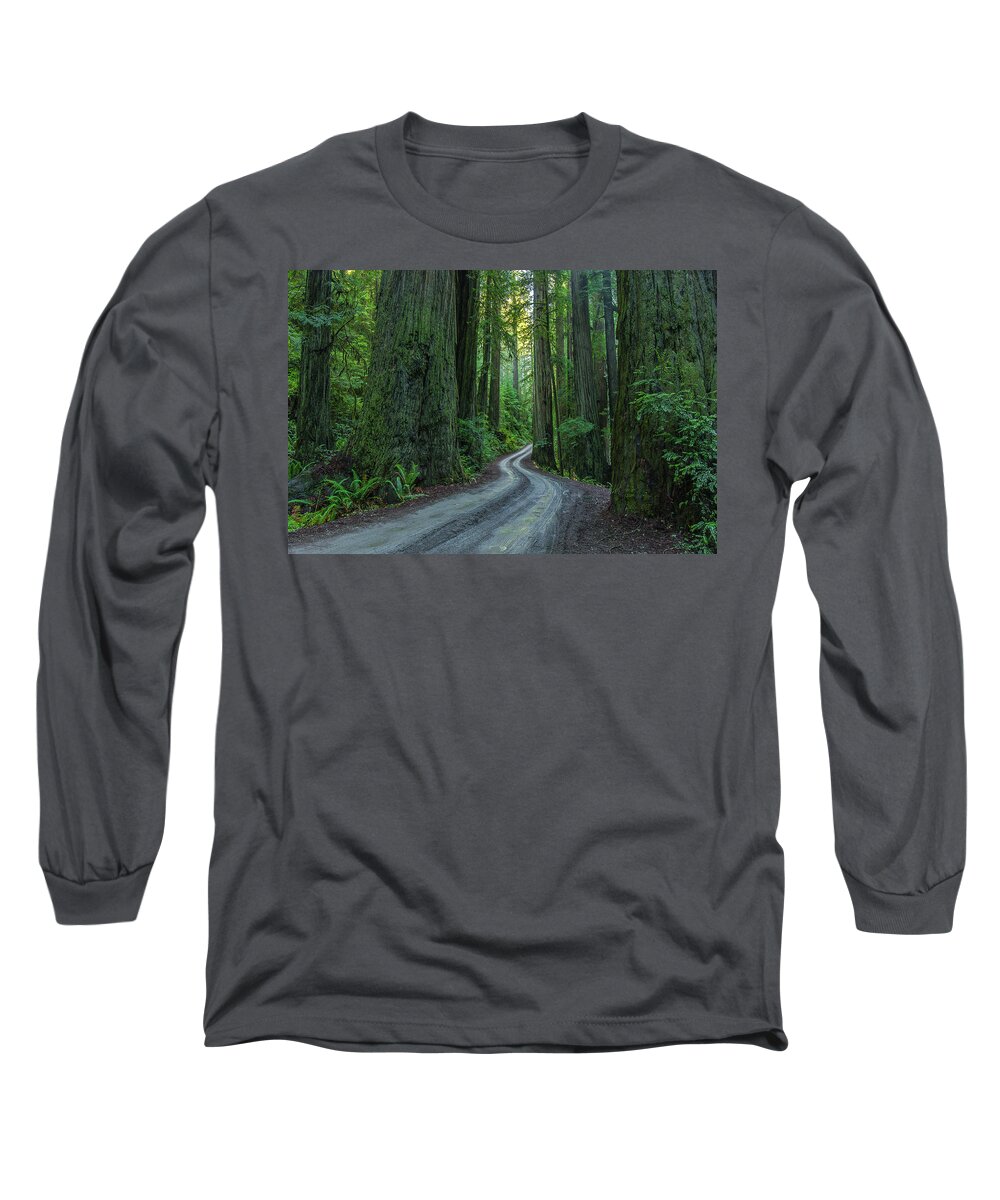 California Long Sleeve T-Shirt featuring the photograph Forest road. by Ulrich Burkhalter