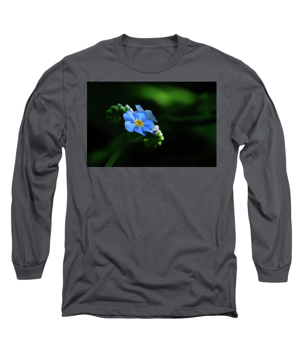 Forget-me-not Long Sleeve T-Shirt featuring the photograph Forget-me-not by Rob Davies