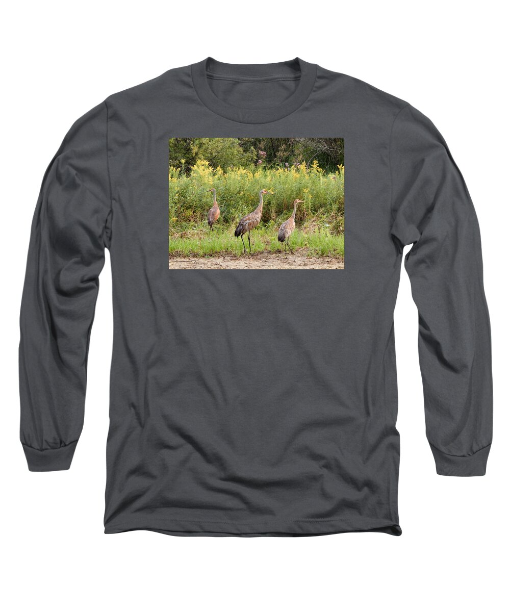 Summertime Long Sleeve T-Shirt featuring the photograph Fraser Niles and Martin by Wild Thing