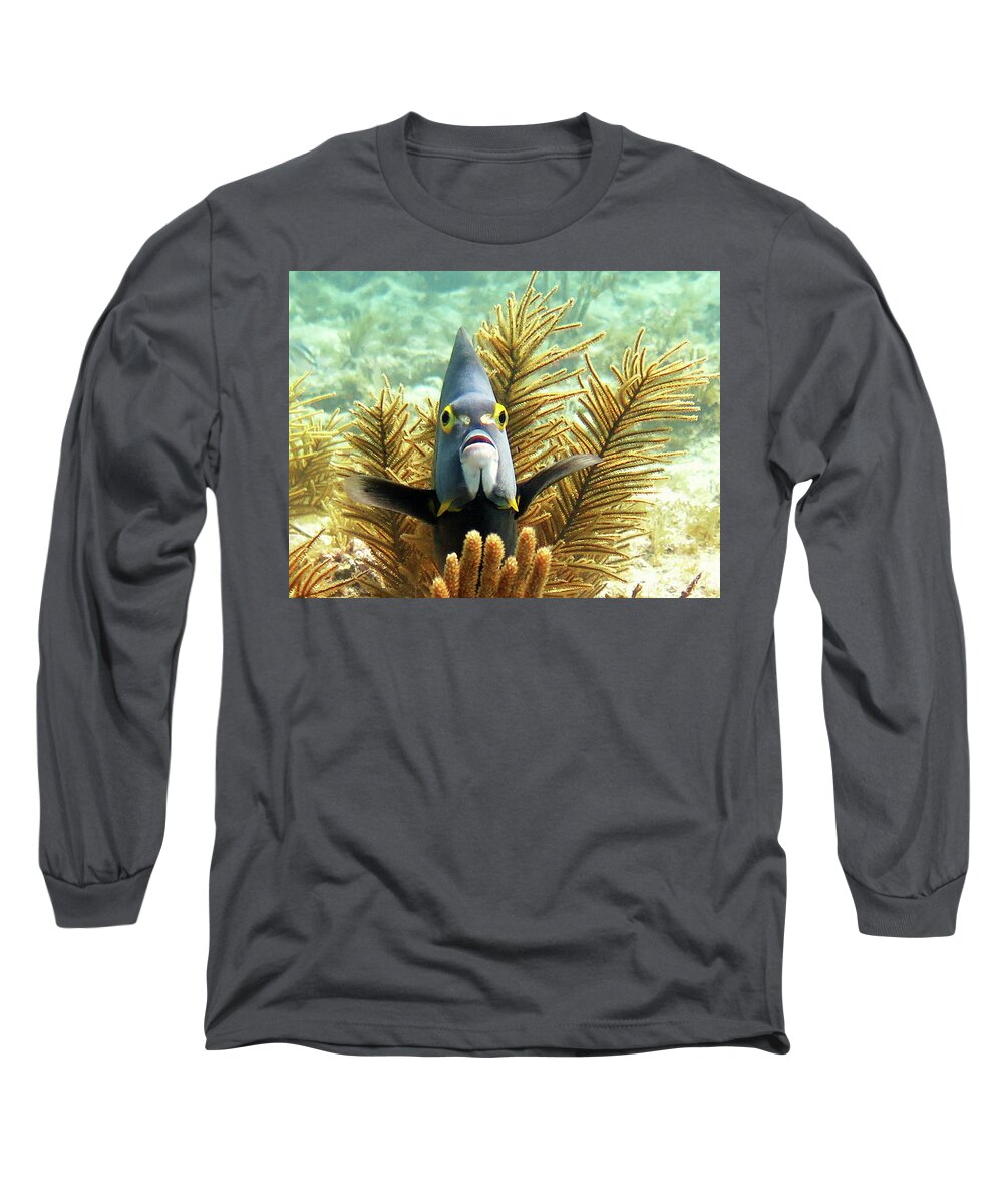 Underwater Long Sleeve T-Shirt featuring the photograph French Angelfish 3 by Daryl Duda
