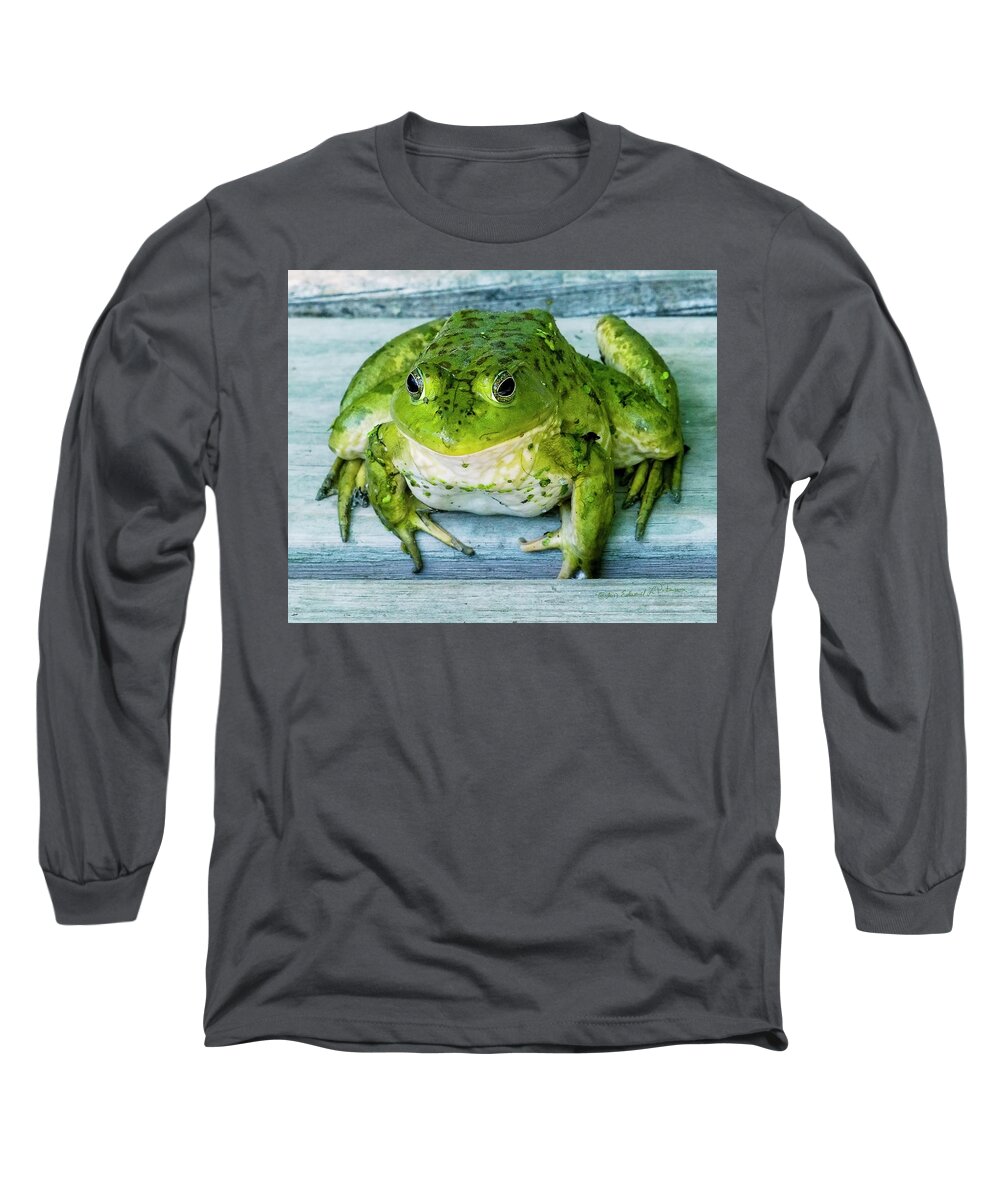 Frog Long Sleeve T-Shirt featuring the photograph Frog Portrait by Ed Peterson