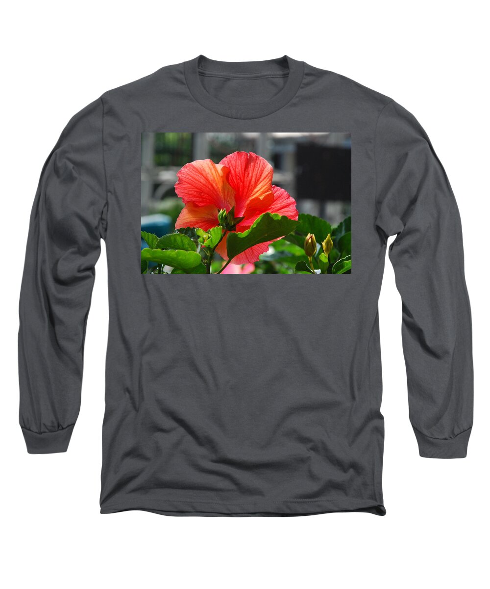 Pink Hibiscus Long Sleeve T-Shirt featuring the photograph Fuscia Hibiscus by Ee Photography