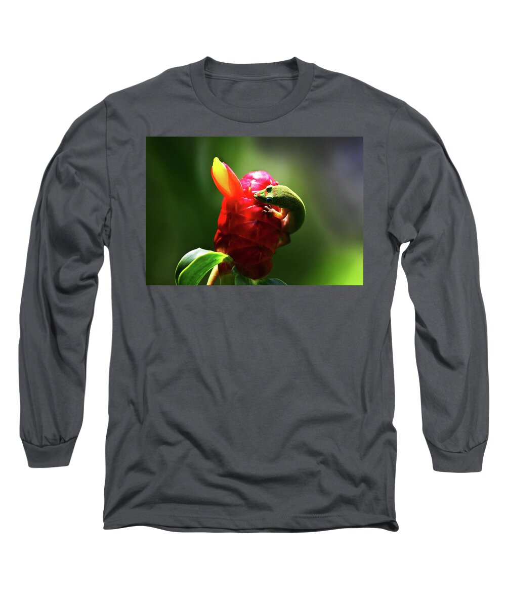 Hawaii Long Sleeve T-Shirt featuring the photograph Gecko #1 by Anthony Jones