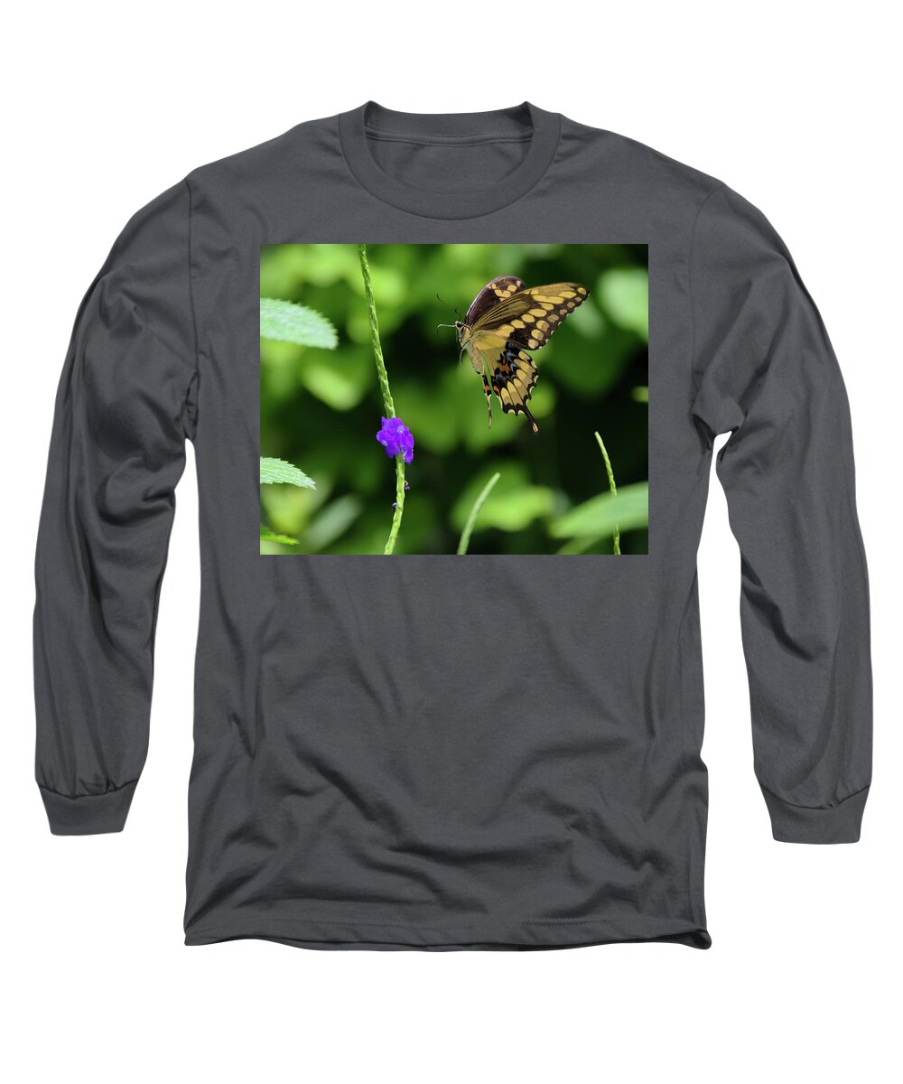 Butterfly Long Sleeve T-Shirt featuring the photograph Giant Swallowtail Butterfly Landing on a Purple Flower by Artful Imagery