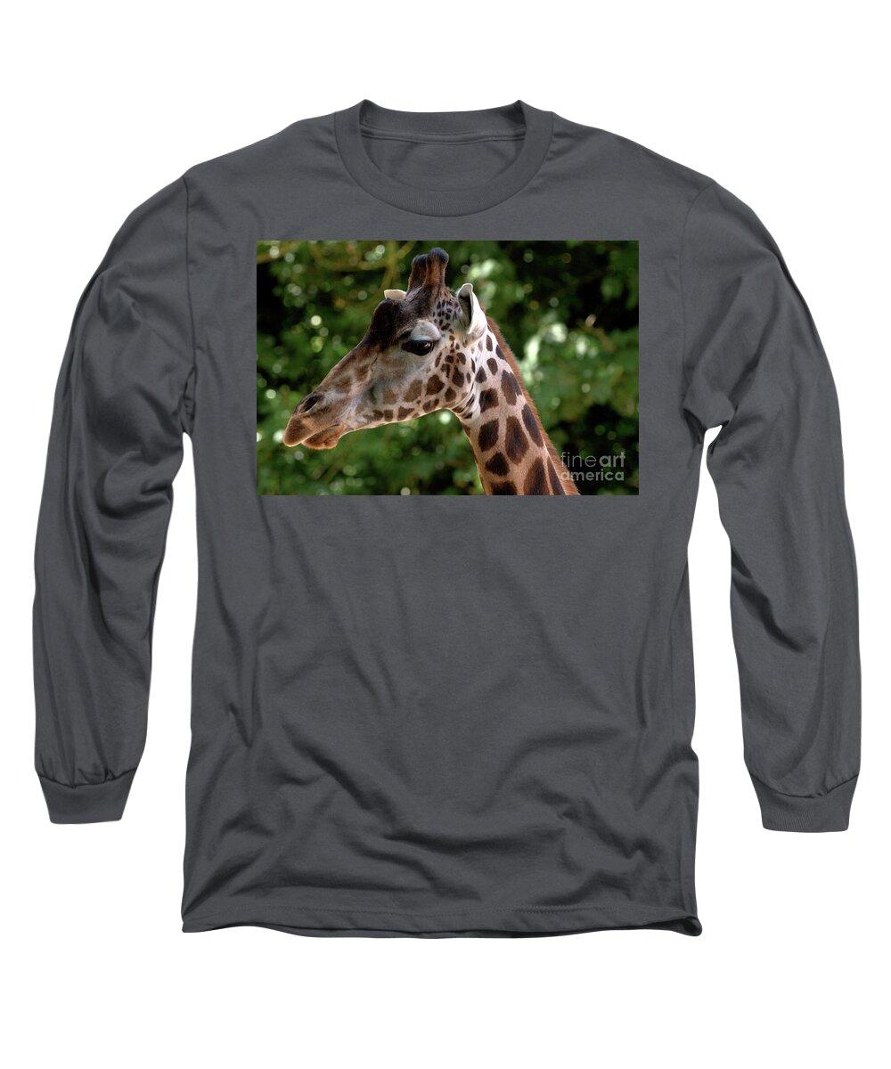 Tall Long Sleeve T-Shirt featuring the photograph Giraffe Portrait by Baggieoldboy