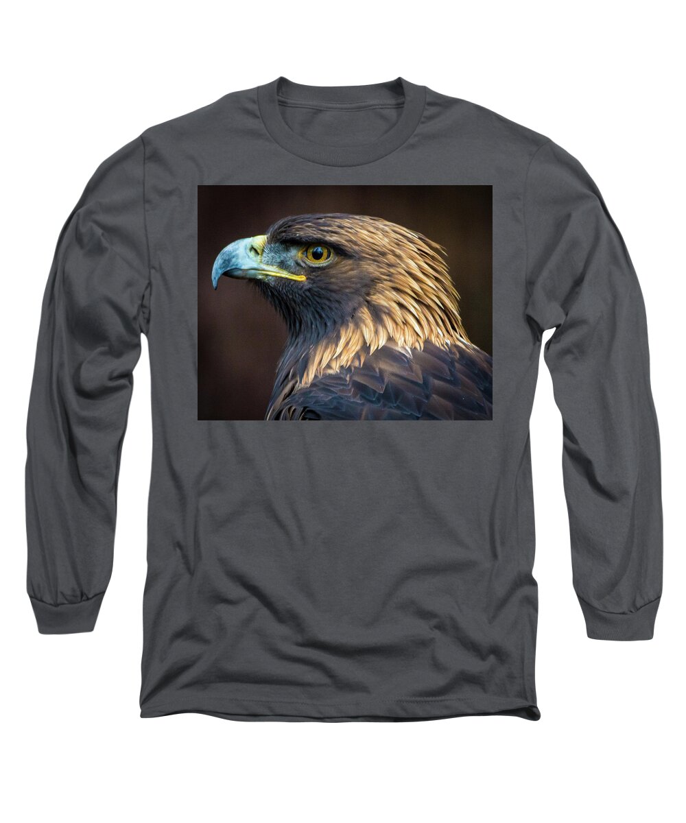 Eagles Long Sleeve T-Shirt featuring the photograph Golden Eagle 2 by Jason Brooks