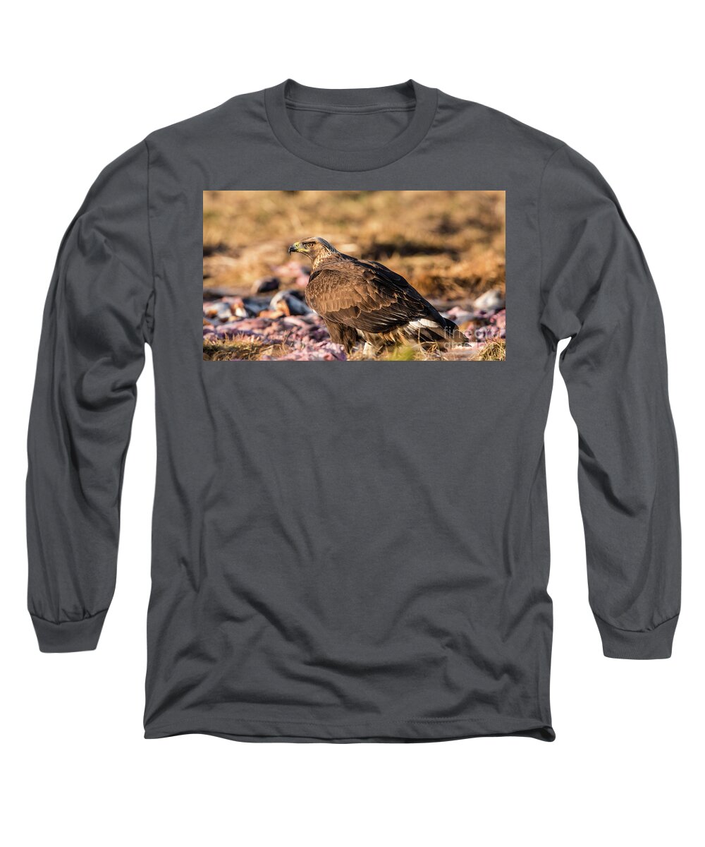 Golden Eagle Long Sleeve T-Shirt featuring the photograph Golden Eagle's Back by Torbjorn Swenelius