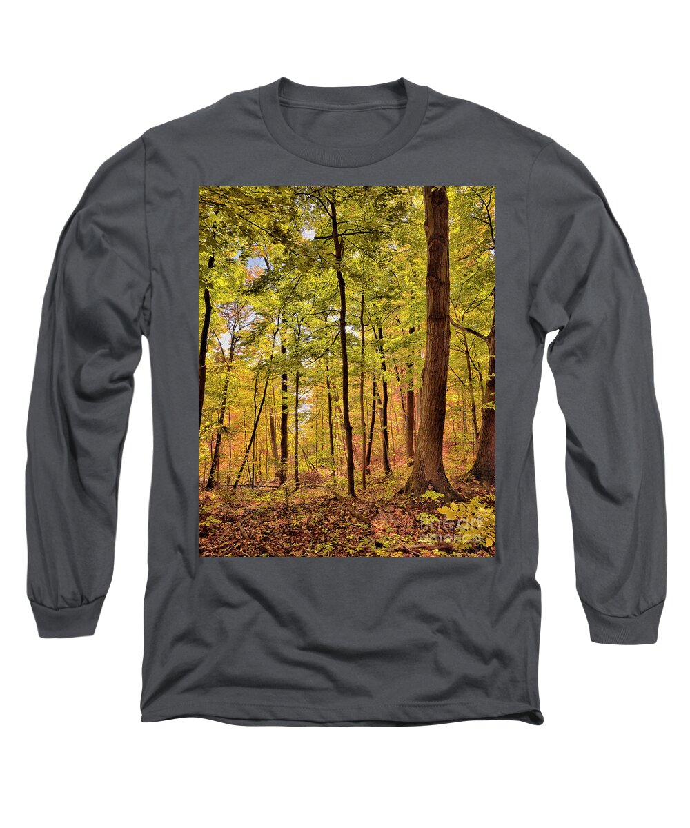 Top Artist Long Sleeve T-Shirt featuring the photograph Golden Forest by Norman Gabitzsch