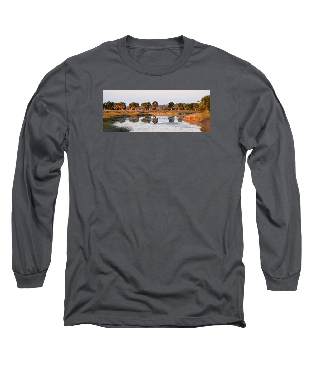 St. Marks National Wildlife Refuge Long Sleeve T-Shirt featuring the photograph Golden Light on the St. Marks Marshes by Carla Parris