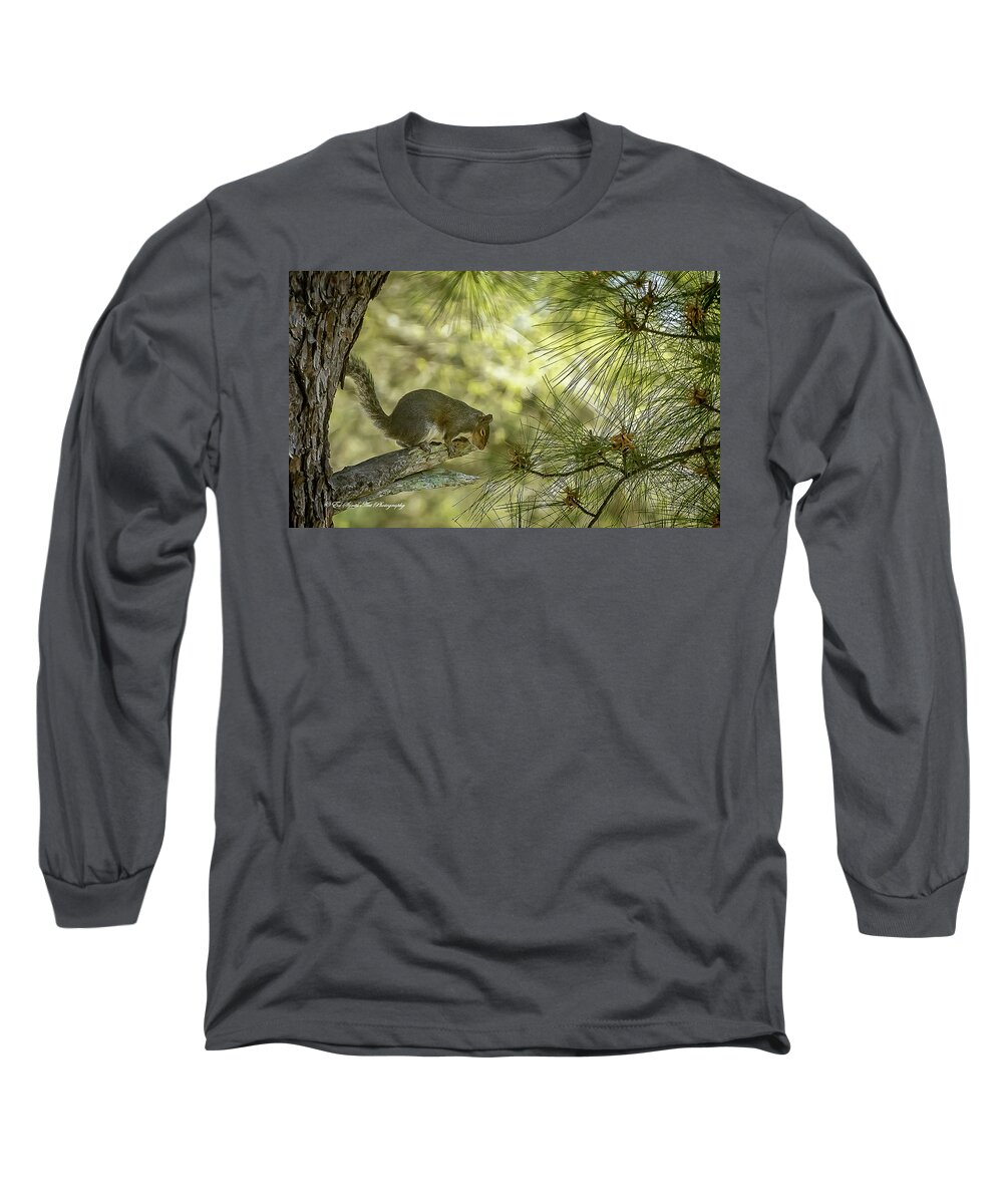 Squirrel Long Sleeve T-Shirt featuring the photograph Grabbing a few Zees by Ed Stines