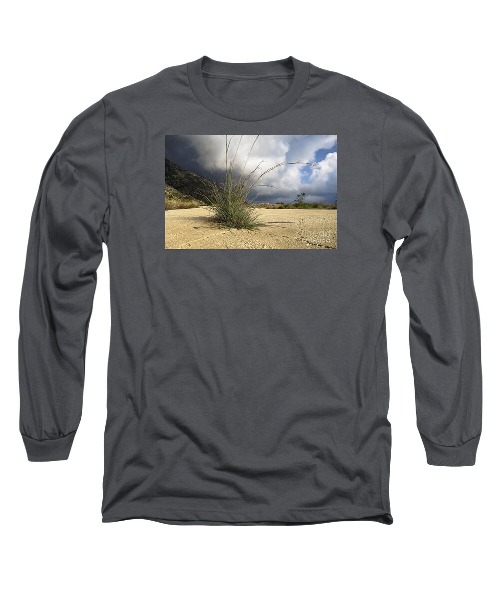 Grass Long Sleeve T-Shirt featuring the photograph Grass growing out of crack in tarmac by Perry Van Munster