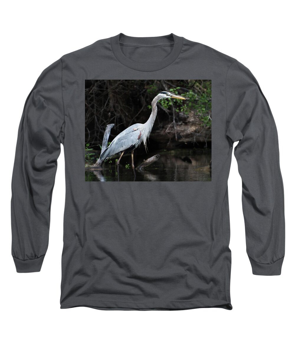 Wading Long Sleeve T-Shirt featuring the photograph Great Blue Heron by Michael Hall