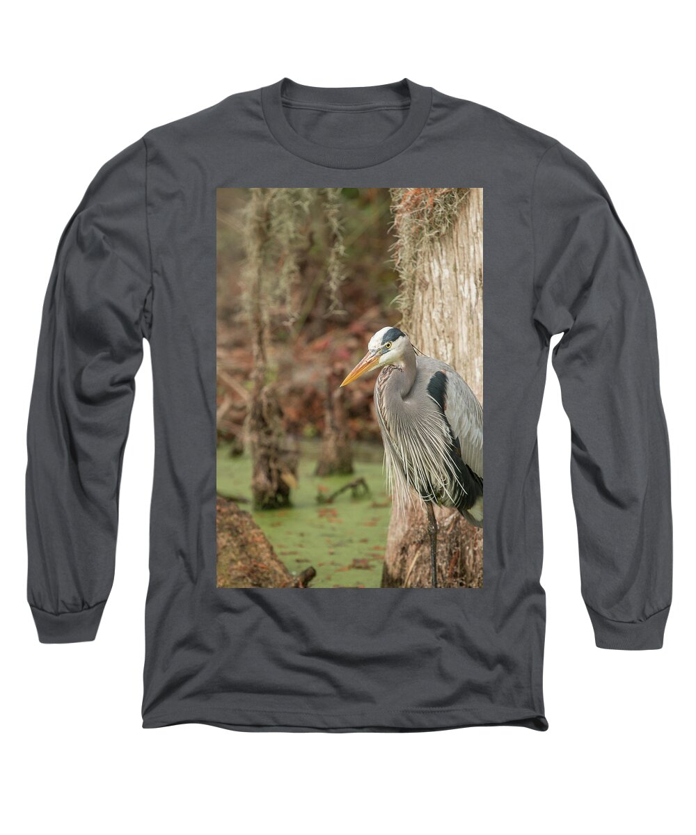 Great Blue Heron Long Sleeve T-Shirt featuring the photograph Great Blue Heron on Guard by Dorothy Cunningham