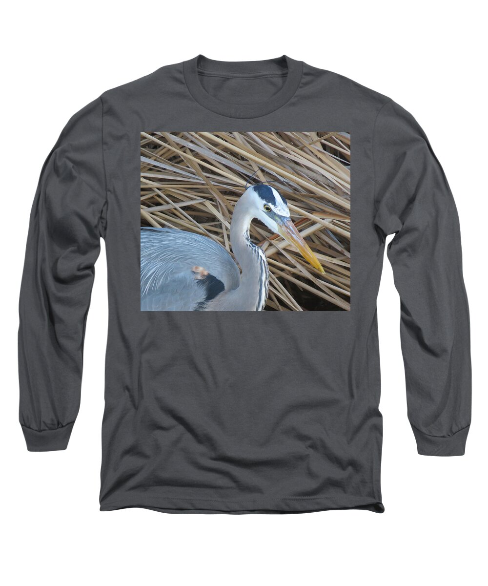 Great Blue Heron Long Sleeve T-Shirt featuring the photograph Great Blue Heron on SPI by Keith Stokes