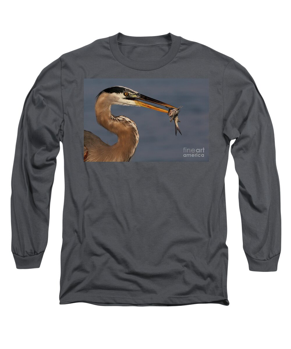 Great Blue Heron Long Sleeve T-Shirt featuring the photograph Great Blue Heron w/Catfish by Meg Rousher