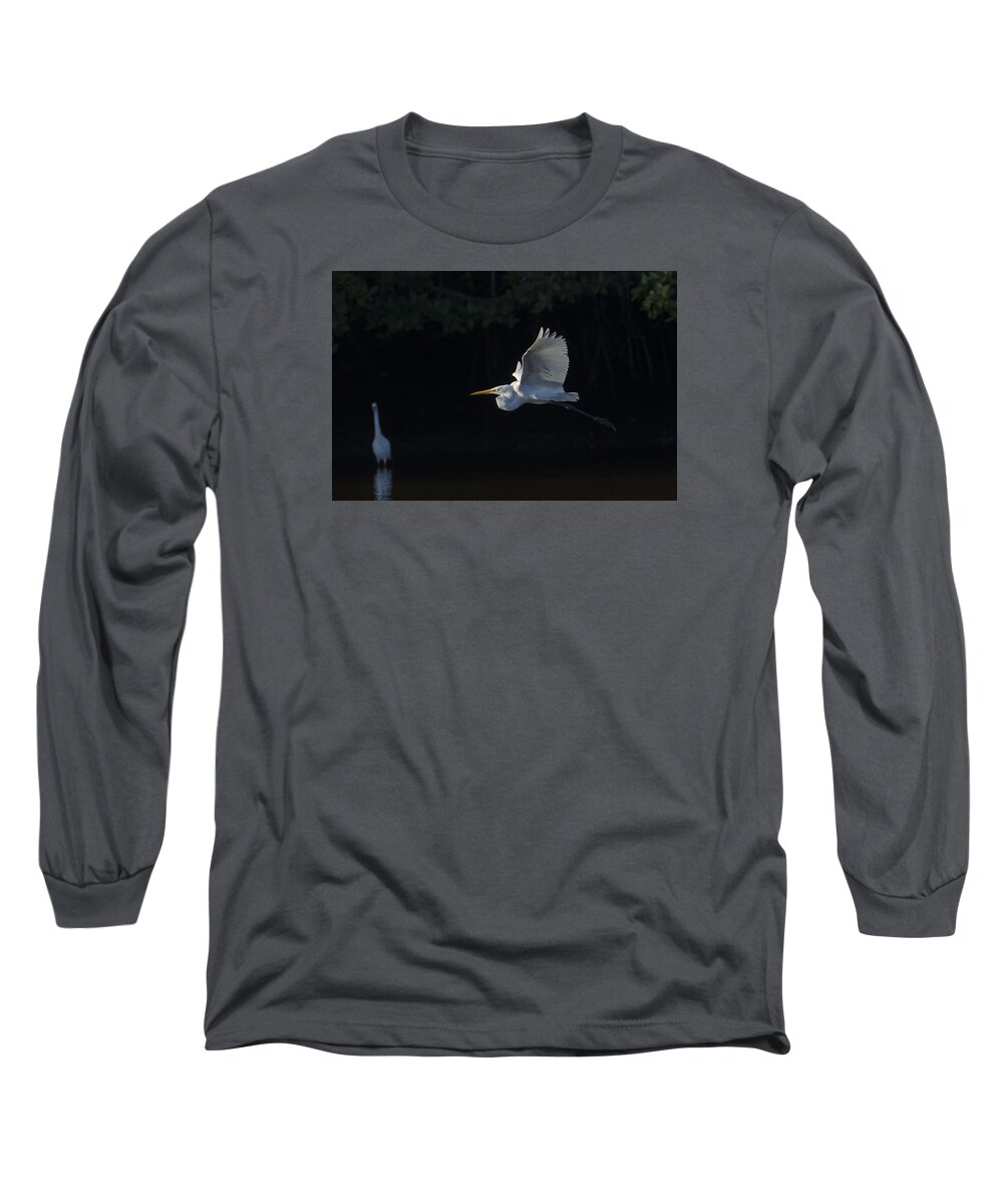 Great Long Sleeve T-Shirt featuring the photograph Great Egret in morning flight by David Watkins
