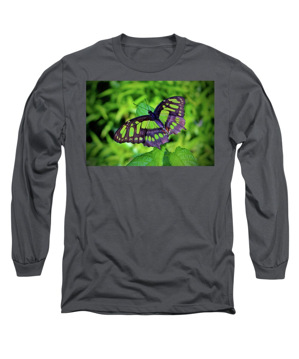 Malachite Long Sleeve T-Shirt featuring the photograph Green And Black Butterfly by Cynthia Guinn