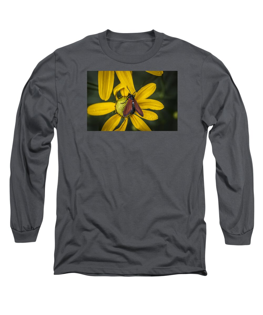 Echinacea Long Sleeve T-Shirt featuring the photograph Green Headed Coneflower Moth by Rich Franco