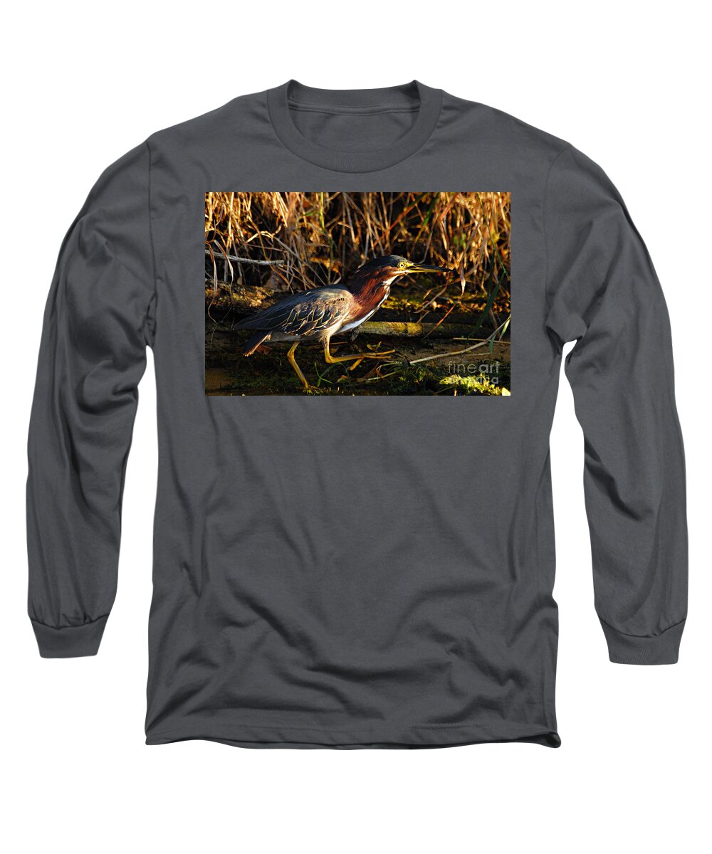 Nature Long Sleeve T-Shirt featuring the photograph Green Heron by Larry Ricker