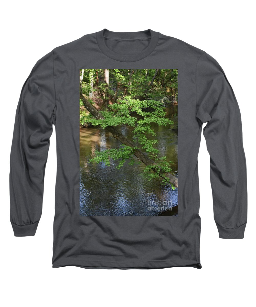Scenic Tours Long Sleeve T-Shirt featuring the photograph Green Is For Spring by Skip Willits