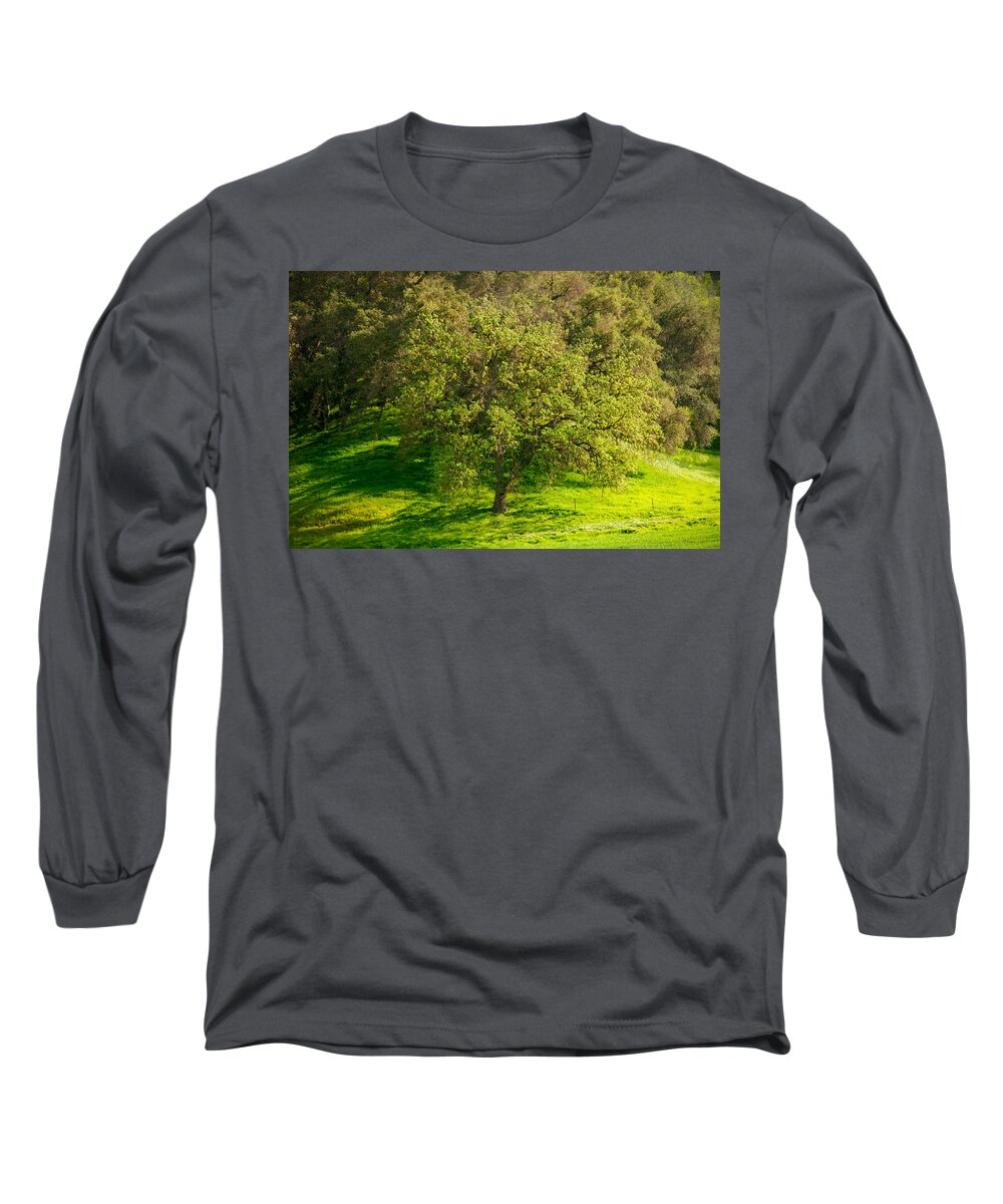 2016conniecooper-edwards Long Sleeve T-Shirt featuring the photograph Green Oak Tree and Grasses by Connie Cooper-Edwards