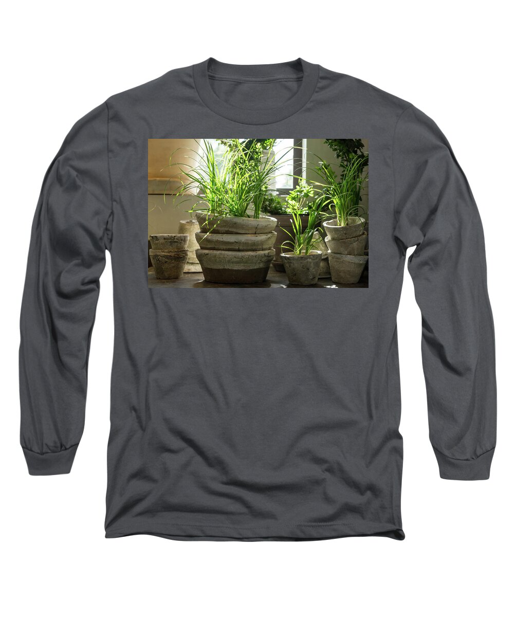 Plant Long Sleeve T-Shirt featuring the photograph Green plants in old clay pots by GoodMood Art