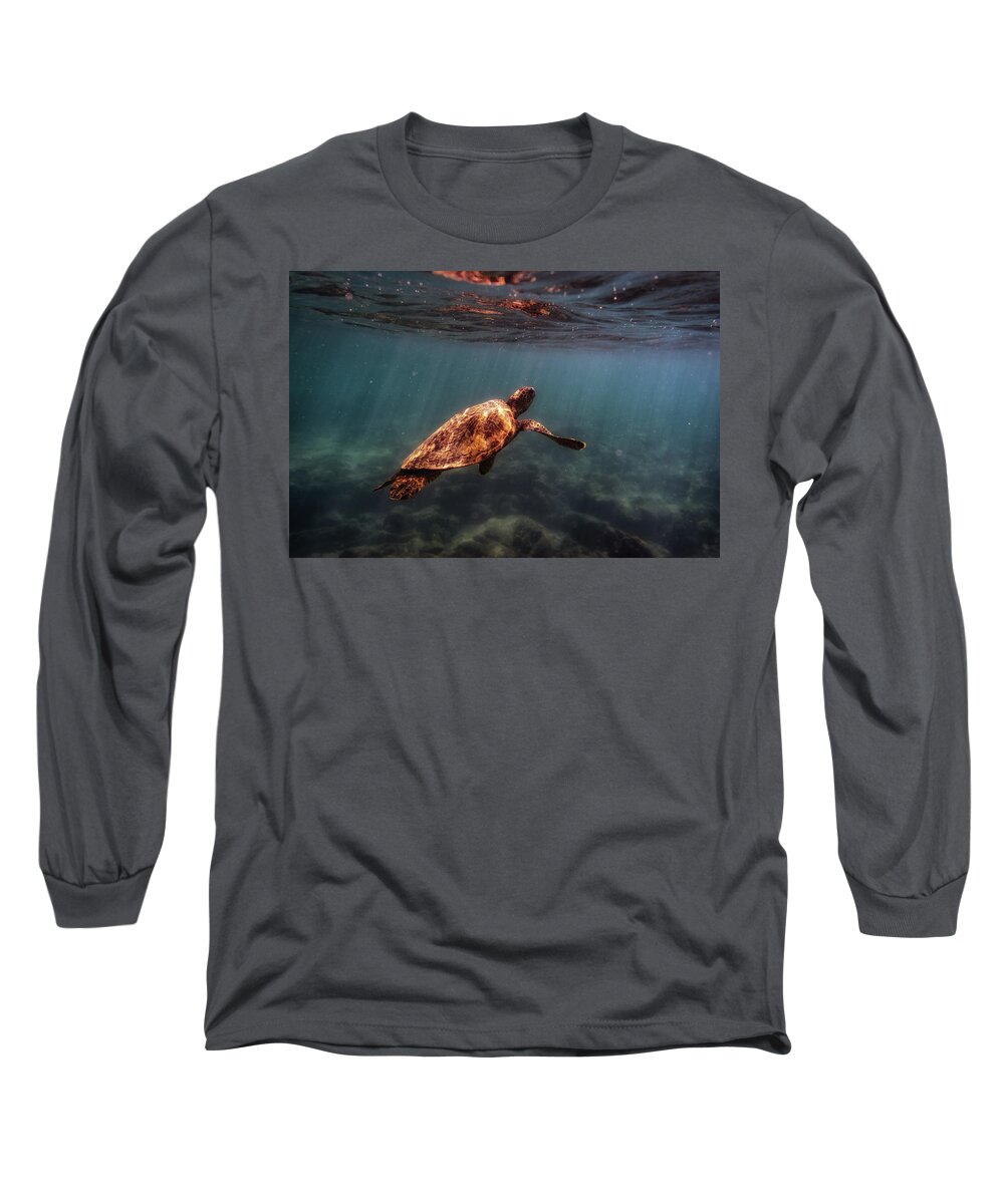 Turtle Long Sleeve T-Shirt featuring the photograph Green Sea Turtle by Christopher Johnson