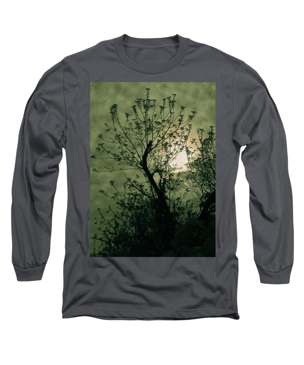 Sunset Long Sleeve T-Shirt featuring the photograph Green Sunset by David Yocum