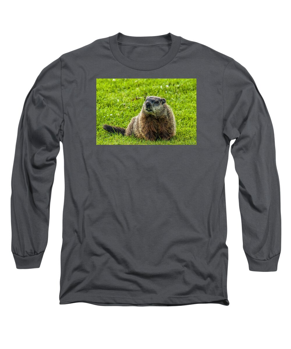 Mammal Long Sleeve T-Shirt featuring the photograph Ground Hog by Cathy Kovarik
