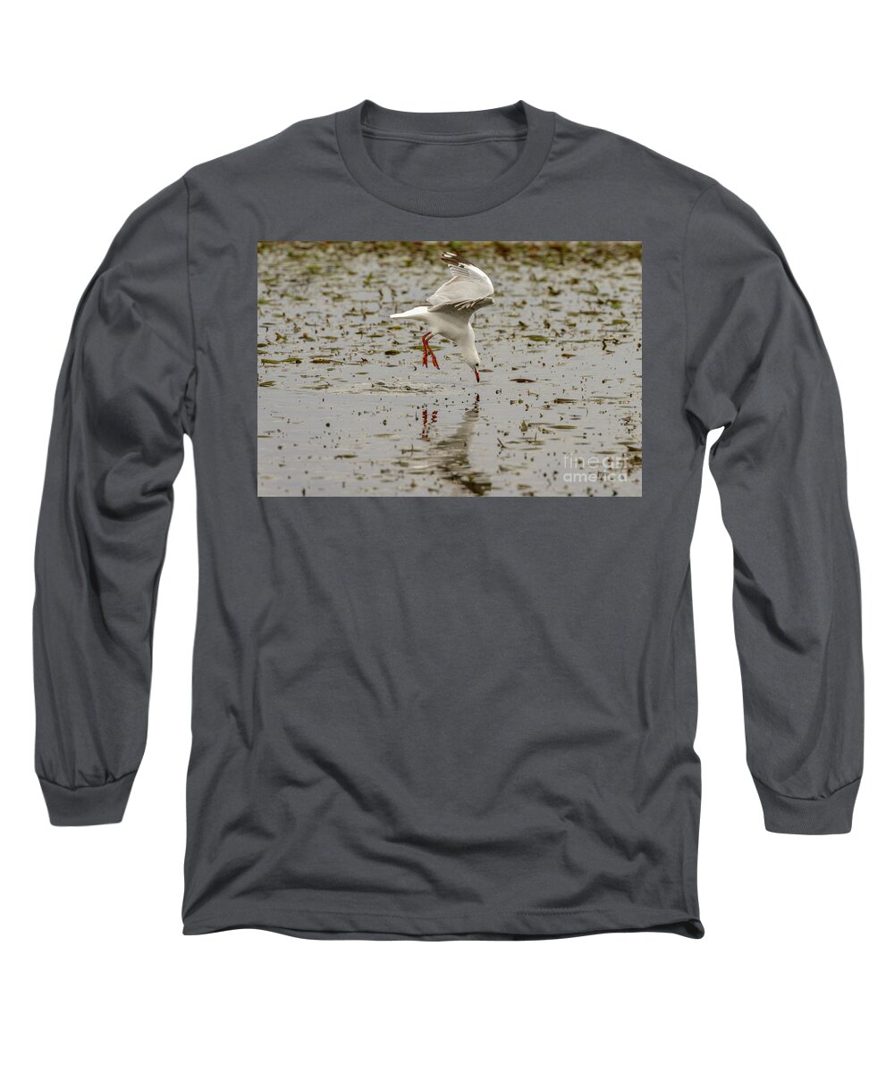 Bird Long Sleeve T-Shirt featuring the photograph Gull Fishing 01 by Werner Padarin