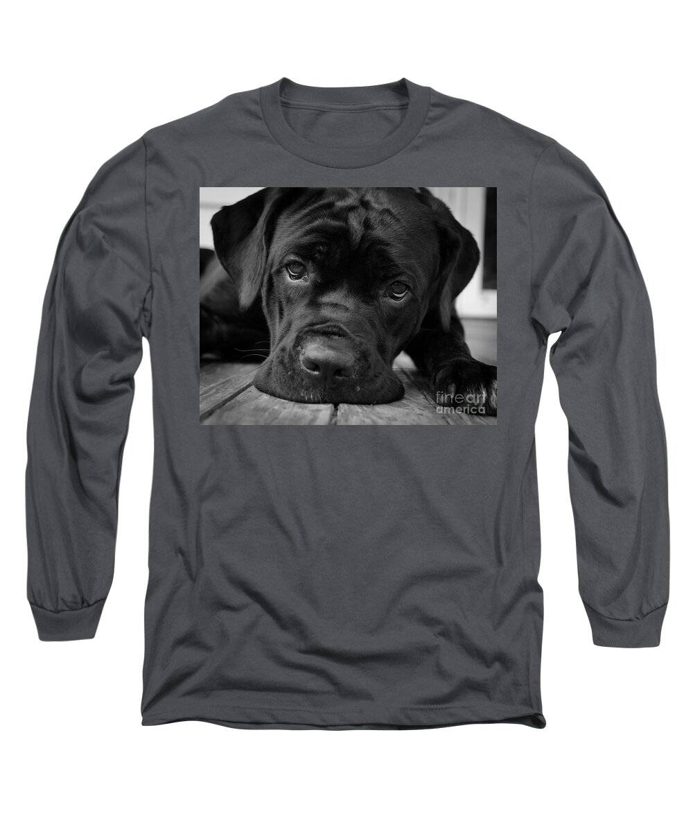 Animals In Nature Long Sleeve T-Shirt featuring the photograph Gurdy on Porch by PIPA Fine Art - Simply Solid