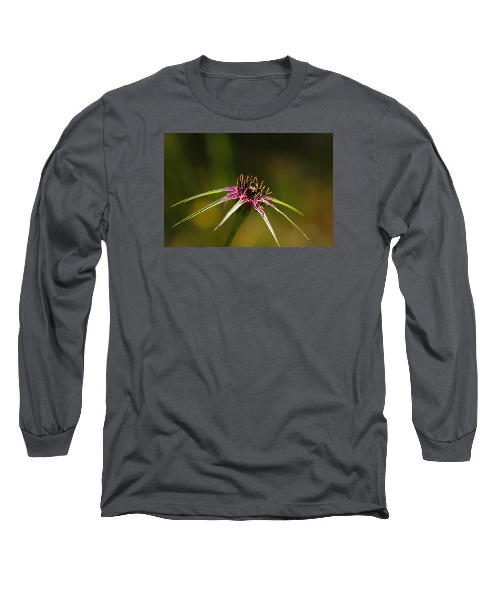 Star Long Sleeve T-Shirt featuring the photograph Hallelujah by Richard Patmore
