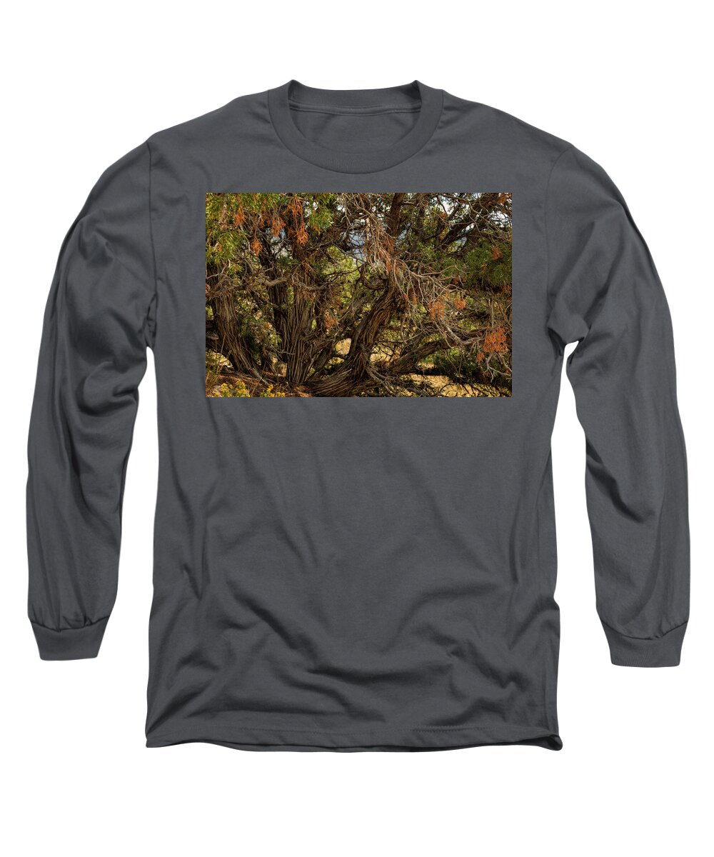 Nature Long Sleeve T-Shirt featuring the photograph Halloween Tree by Michael McKenney