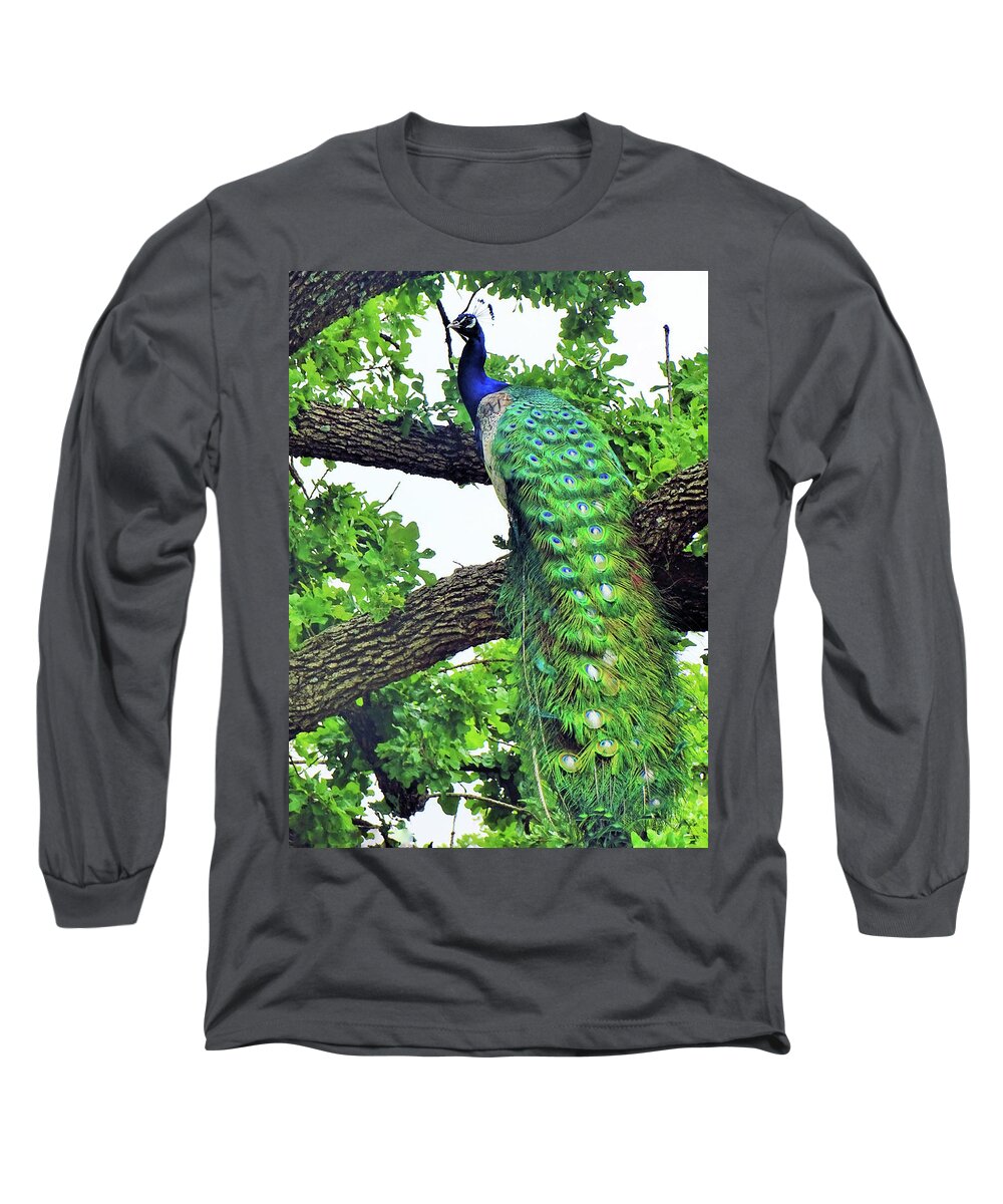 Peacock Long Sleeve T-Shirt featuring the photograph Happily Perching by Doris Aguirre