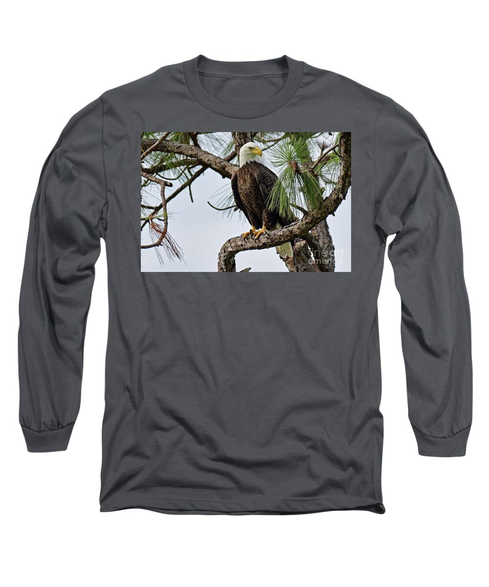  Long Sleeve T-Shirt featuring the photograph Harriet front pine by Liz Grindstaff