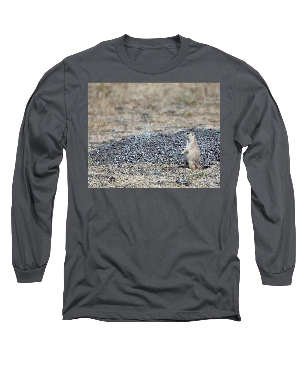 Dog Long Sleeve T-Shirt featuring the photograph Having a Look by David Buhler