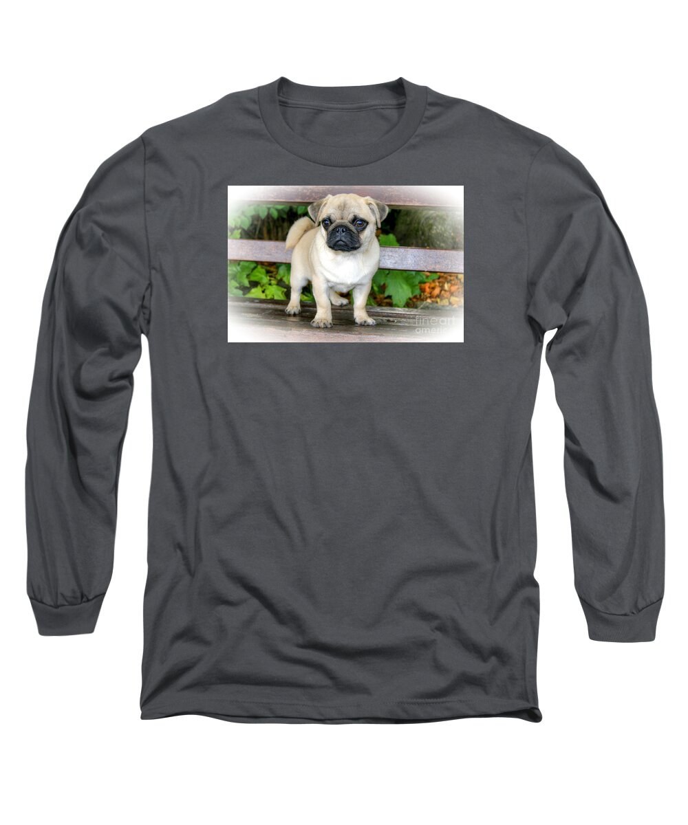 Pug Long Sleeve T-Shirt featuring the photograph Heathcliff the Pug by David Birchall