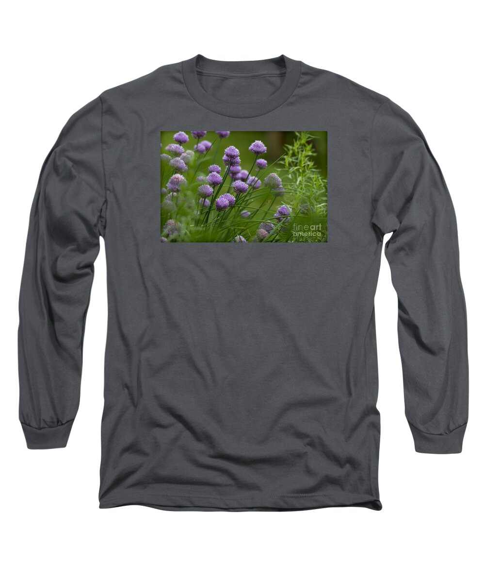 Clare Bambers Long Sleeve T-Shirt featuring the photograph Herb Garden. by Clare Bambers
