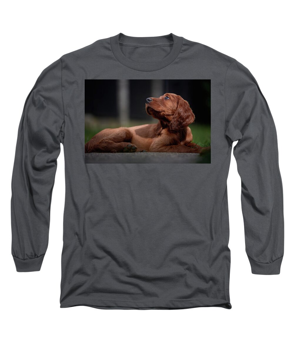 Animals Long Sleeve T-Shirt featuring the photograph Hey you by Robert Krajnc