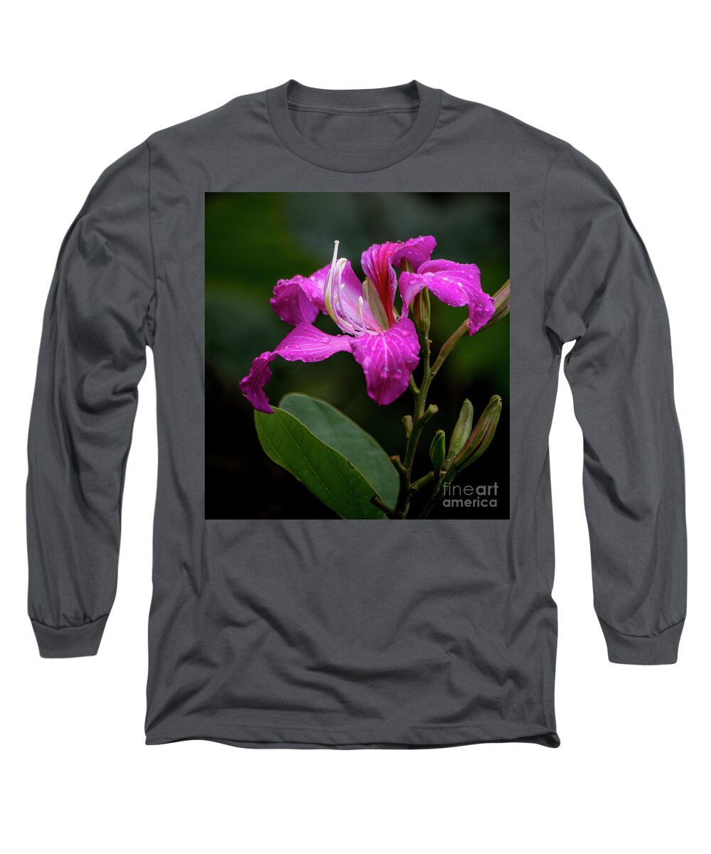 Hawaii Long Sleeve T-Shirt featuring the photograph Hong Kong Orchid by Teresa Wilson