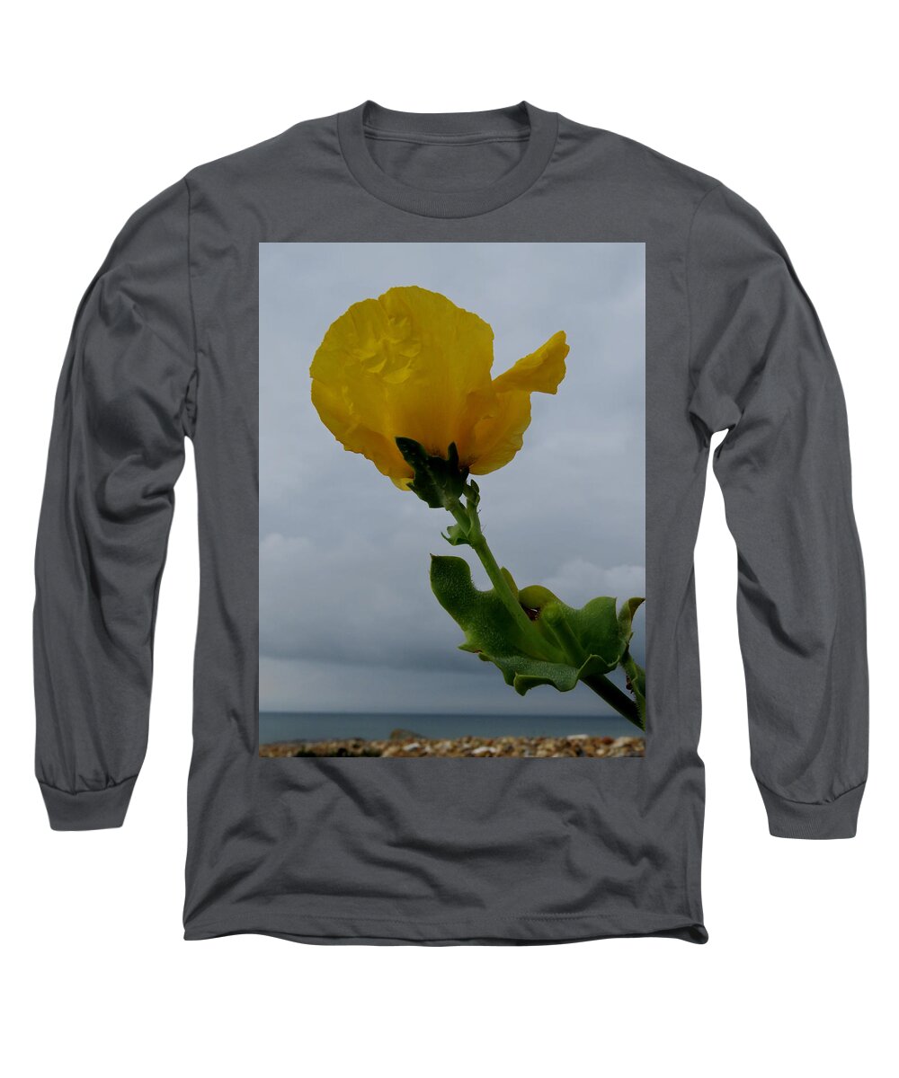 Horned Poppy Long Sleeve T-Shirt featuring the photograph Horned Poppy by John Topman