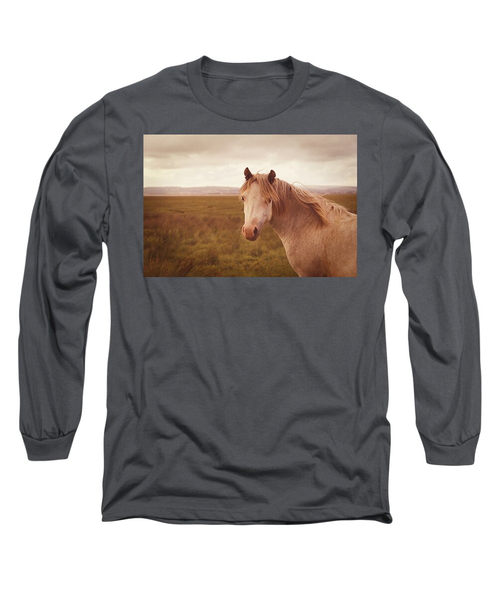 Horse; Retro; Vintage; Animal; Wild; Warm; Sunset; Vignette; Golden; Beautiful; Nature; Landscape; Grass; Moor; Moorland; Clouds; Brown; Countryside; Rural; Light; Pony; Look; Field; Mane; Equestrian Long Sleeve T-Shirt featuring the photograph Wild Horse by Steve Ball