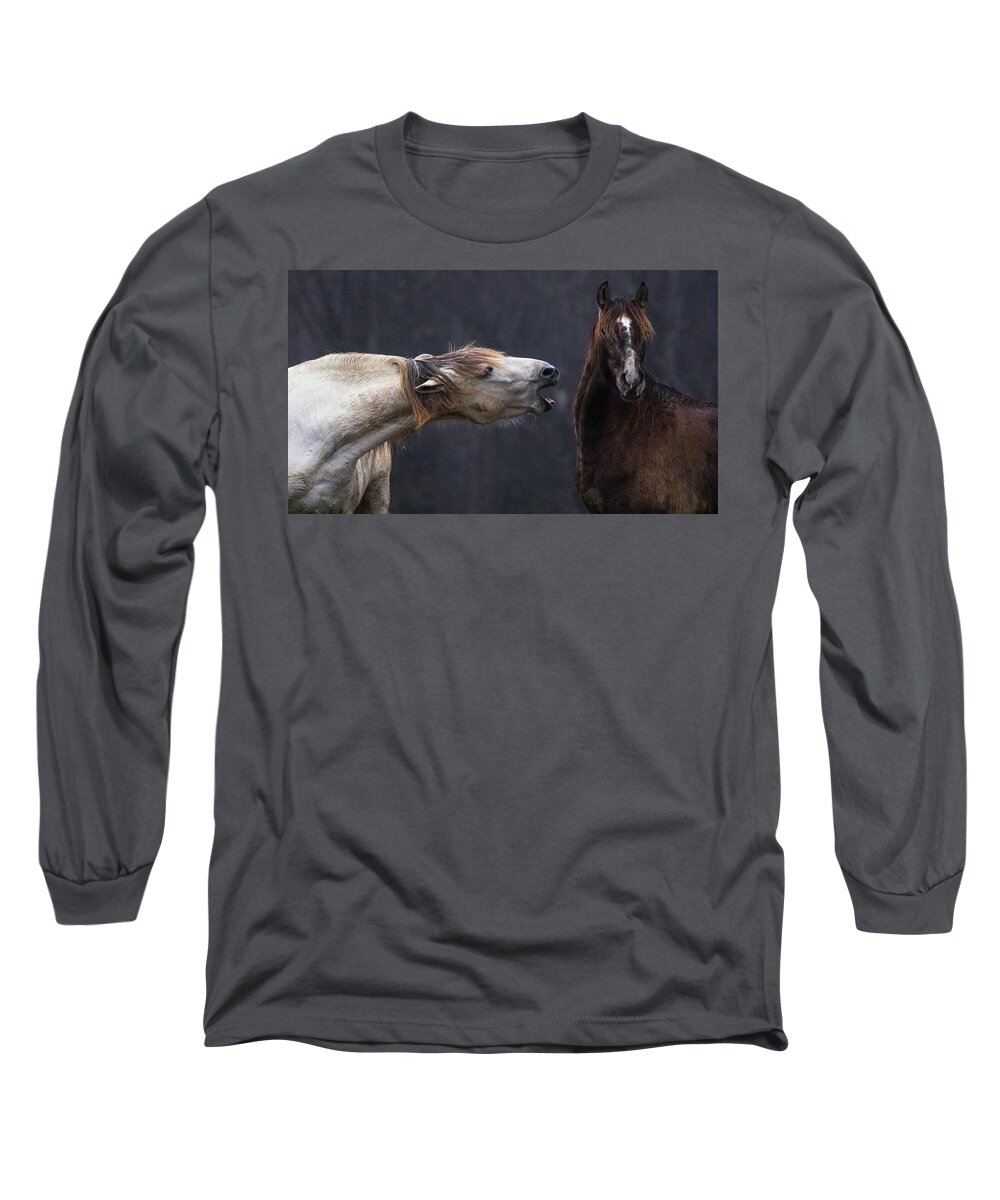 Horses Long Sleeve T-Shirt featuring the photograph The Scolding by Art Cole