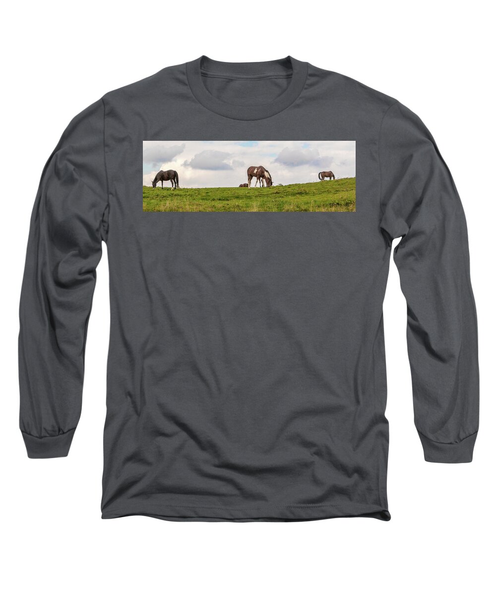 Horses Long Sleeve T-Shirt featuring the photograph Horses and Clouds by D K Wall