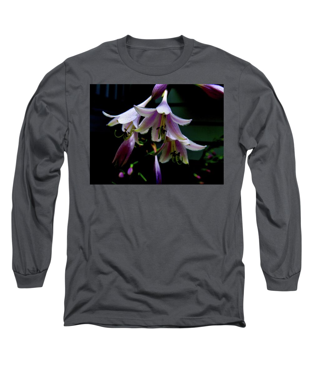 Purple Blossoms Long Sleeve T-Shirt featuring the photograph Hostas Blossoms by Linda Stern